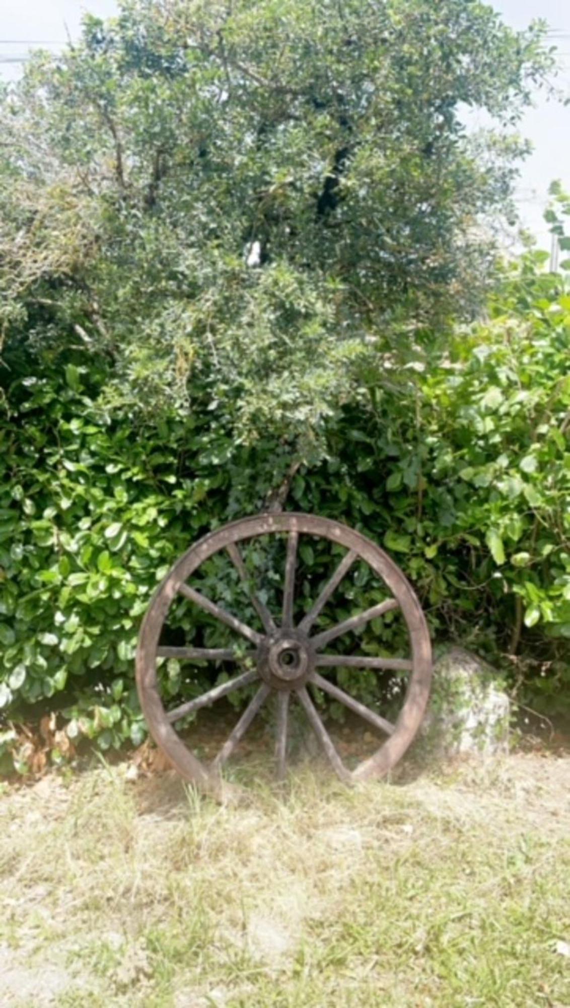 La Grange Du Contoures Panzió Castanet  Kültér fotó